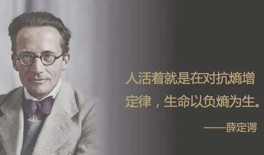 薛定谔是最早的提出者,他在1944年出版的《生命是什么》中进行了详尽