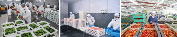 披萨品牌排行榜_全球榜|2019全球餐厅最具价值品牌25强排行榜发布,星巴克名列第一