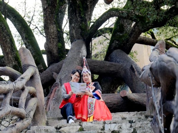 丽水景宁畲族自治县烟草专卖局：“香溢”志愿行 情暖“三月三”