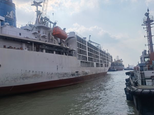 中海国创集团参观拜访上海中船贸易、中船澄西船舶修造有限公司