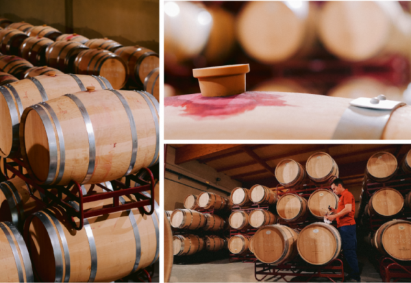 高麓托罗酒庄酿造优雅醇厚葡萄酒，带你踏上追寻美酒的全新旅途