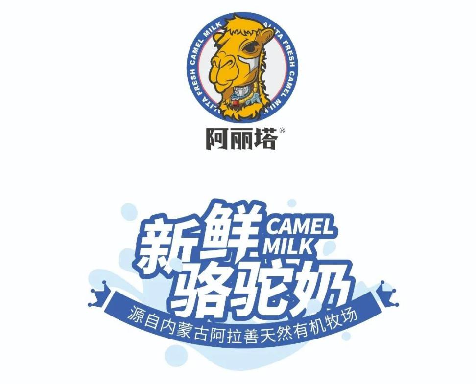 阿丽塔，驼奶市场一颗闪闪发亮的璀璨之星
