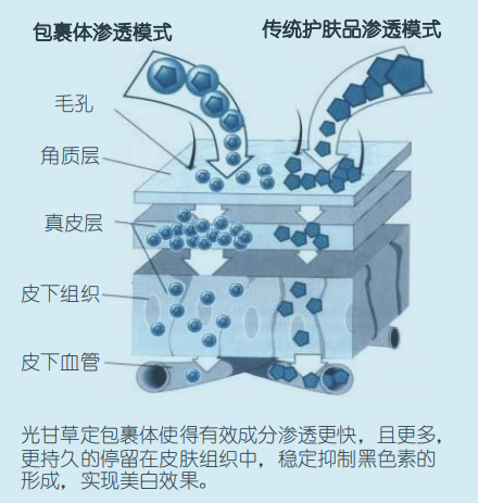 微信截图_20190425144656.png