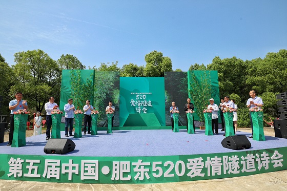 第五届中国·肥东520爱情隧道诗会开幕仪式.jpg