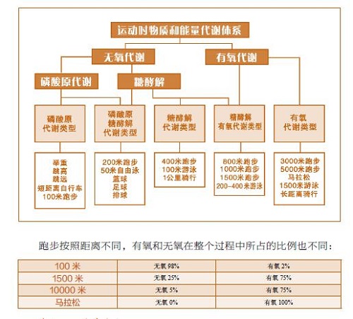 9月底开放！一天不到2块钱
