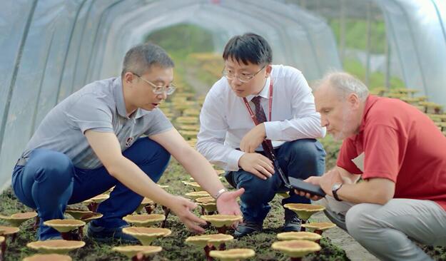 中国经济网|科技引领，这场关于闽产中药材的高峰论坛即将开幕