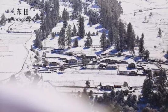 鲁朗的冬日雪景（摄影 东田）