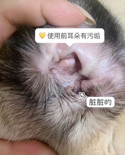 保护狗狗耳道健康,首选小宠洁耳舒