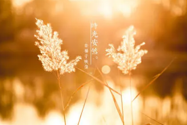 梅杰综合征中医治疗“调痉舒元饮”