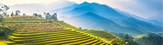贵州新开了一家印象凤冈产业馆!响应“十四五”三大战略,推进“凤茶出海”