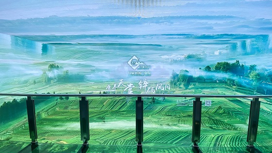 贵州新开了一家印象凤冈产业馆!响应“十四五”三大战略,推进“凤茶出海”