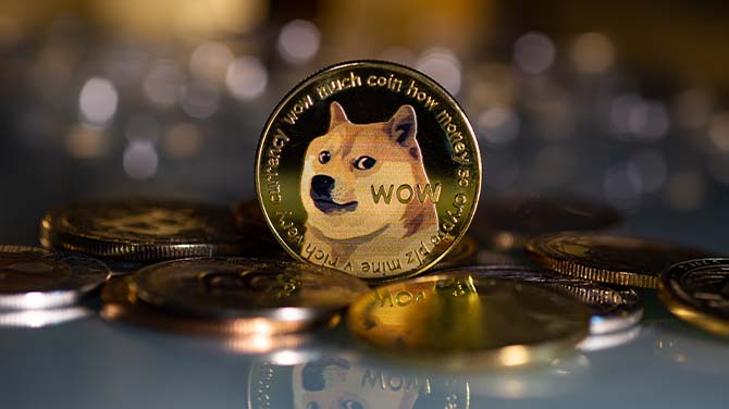 ɽկ-Doge.jpg