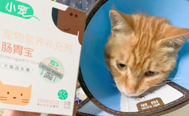QQ浏览器截图20220317151621.png