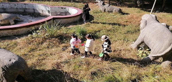 图片7.jpg