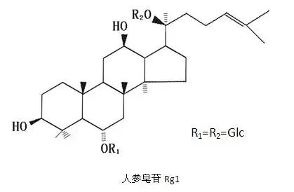 图片43.jpg