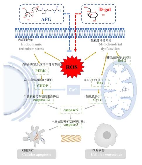 图片44.jpg