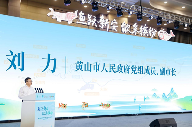 图6片6.png