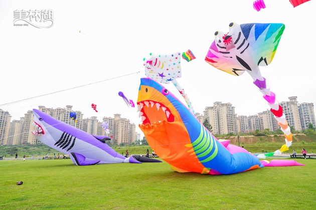DSC09733-3697149440.jpg