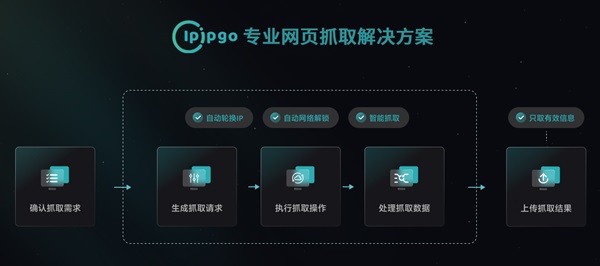 光年云计算IPIPGO.jpg