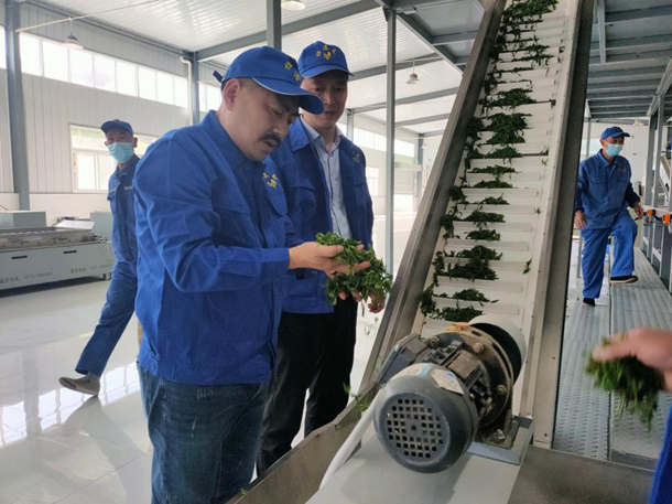 怡溪春：以电商拓新途，守山水惠乡邻，秦巴好茶奔赴万家