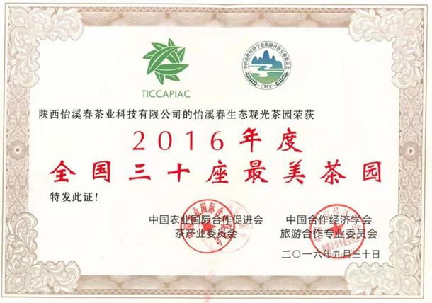 怡溪春：以电商拓新途，守山水惠乡邻，秦巴好茶奔赴万家