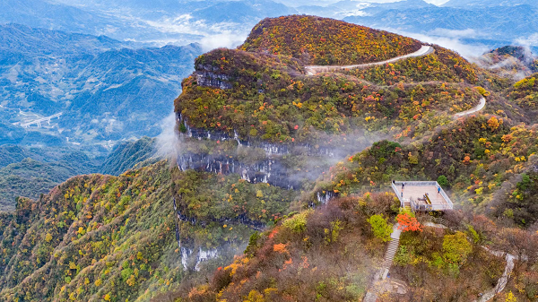 跨山海，赴“歌”约！大湾区媒体达人组团“汉”你来听歌