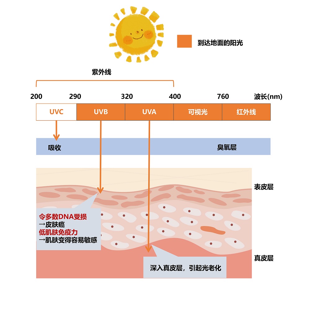 紫外线 - 副本.jpg