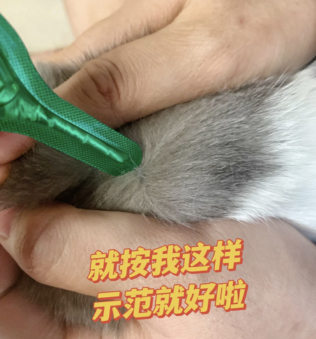 微信截图_20220623102614.png