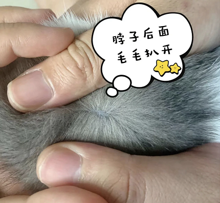 微信截图_20220623102554.png