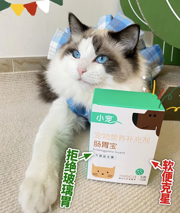 要想布偶猫猫肠胃好 就备小宠肠胃宝