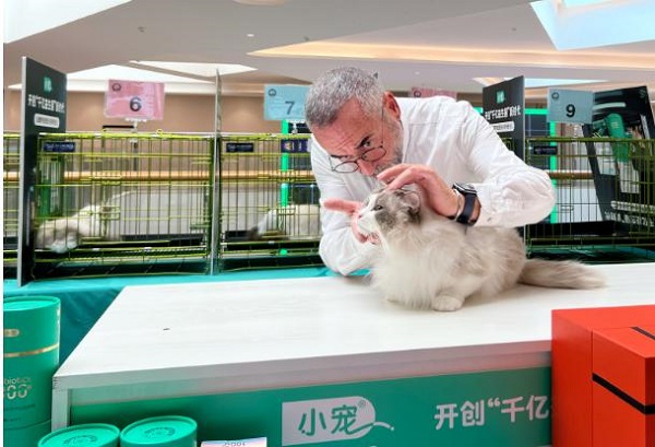图片3.jpg