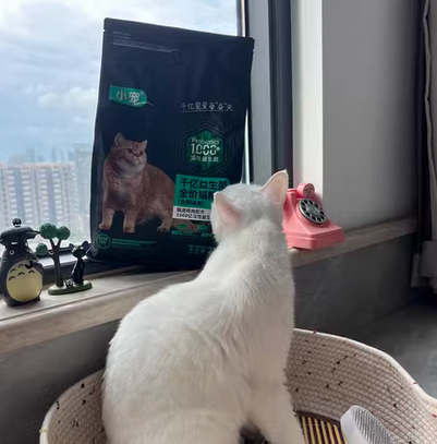 微信截图_20230823114437.png