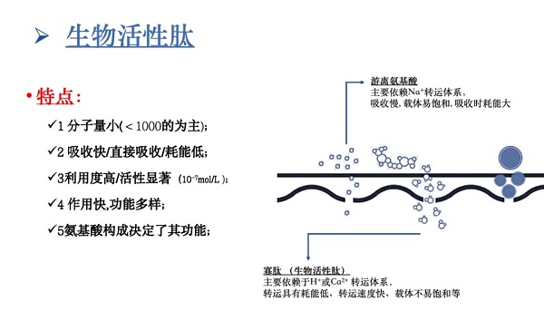 配图1.webp.jpg