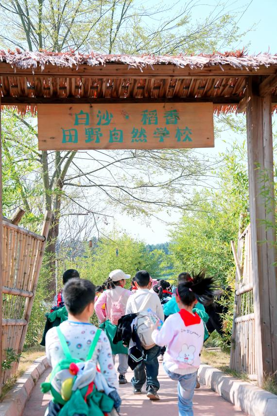 绵阳市御营小学:传承农耕文化 乐享田间春色