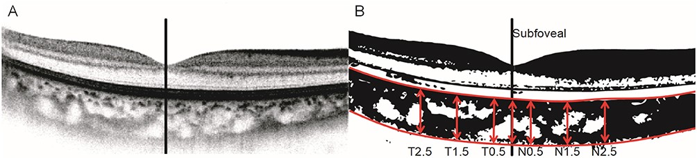 1750816289989572.jpg
