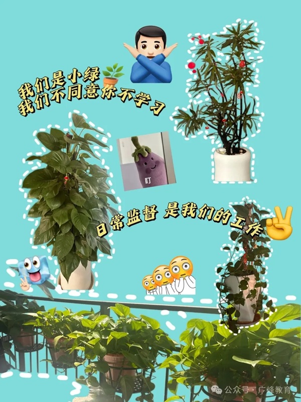 9.webp.jpg