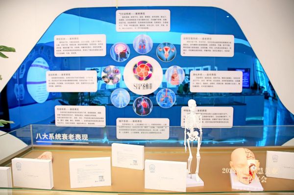 圣雅菲生命健康科学院——健康检测帮助你更了解自己的身体状况! 338022f8e02f01b2b266b1b72222fe28.jpg