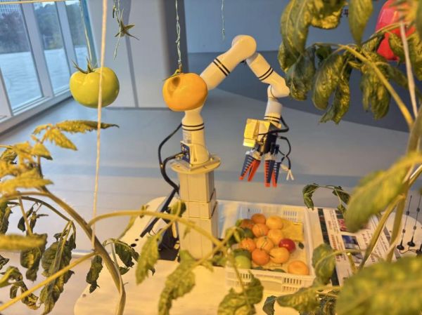 成都市乡村振兴人才综合服务中心：为乡村人才搭台筑梦