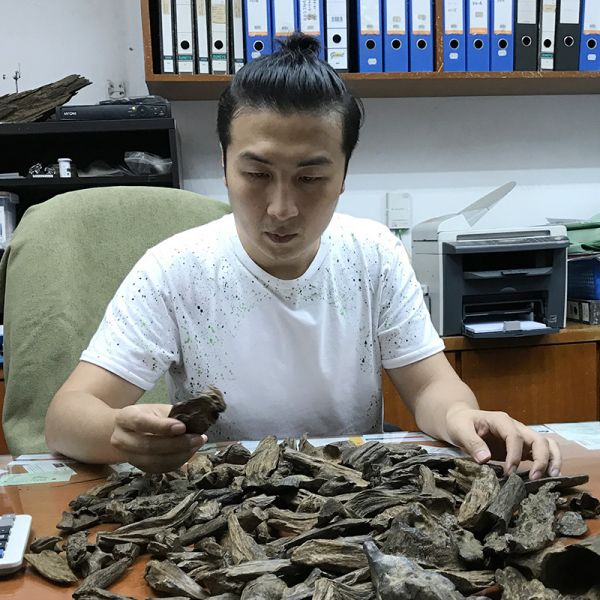 日常佩戴达拉干沉香怎么选？靠谱品牌整理
